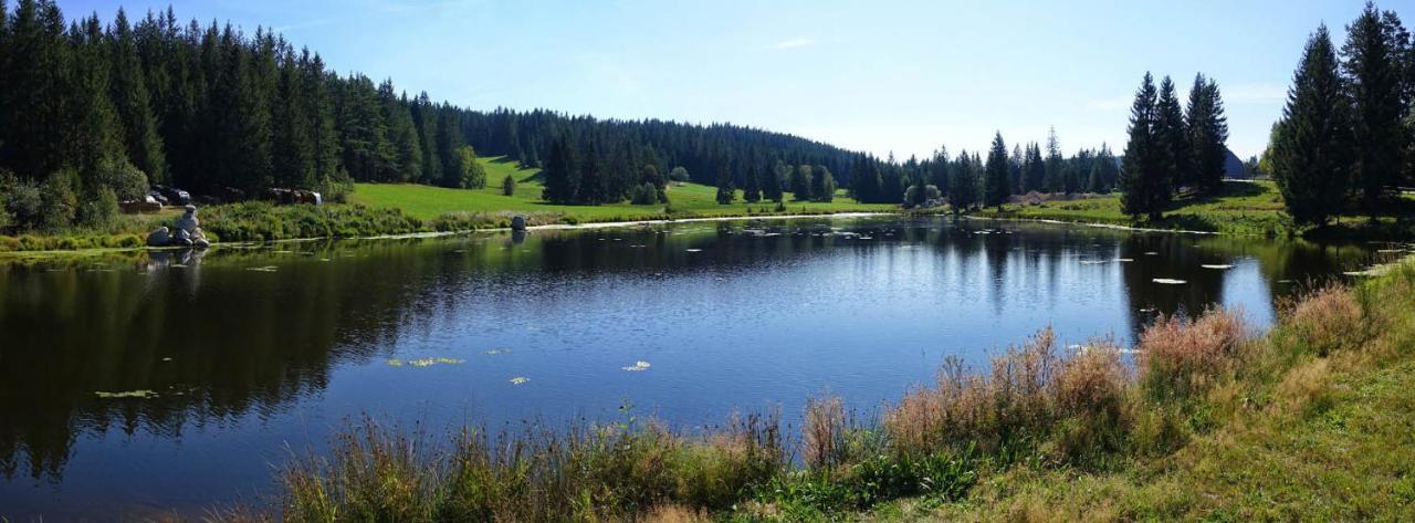 Apartamento Traum-Maisonette Auf 1.000M Mit Pool Und Sauna Schönwalde Exterior foto